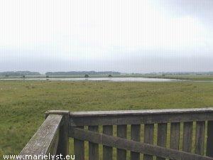 Fuglereservat B�t� Nor