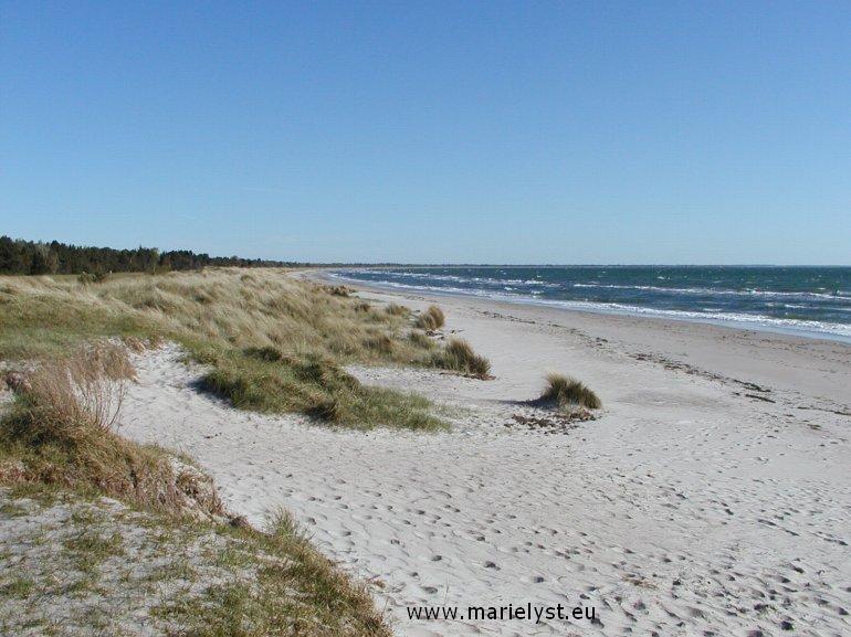 Bt strand