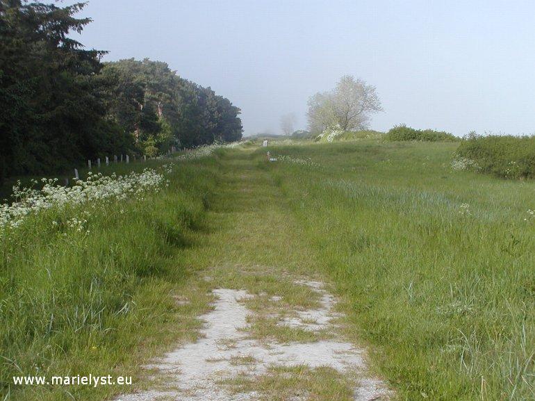 Elken�re digesti