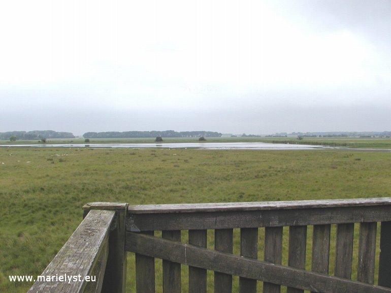 Fuglet�rn B�t� Nor